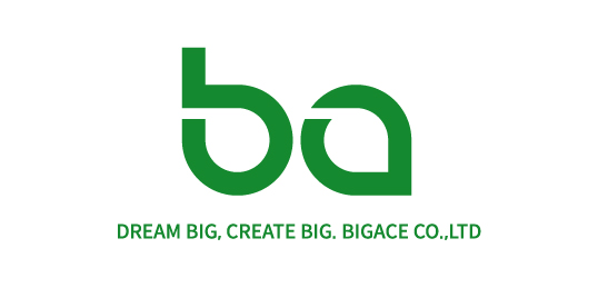 비쎌 스팀청소기(Bissell Steam Cleaner)